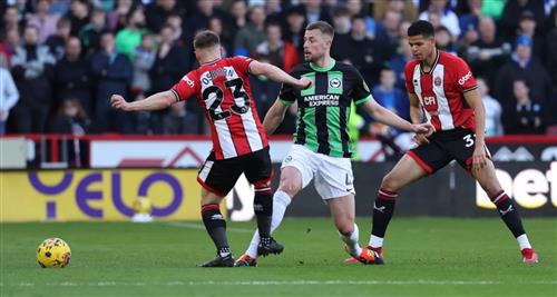 Sheffield United vs Brighton